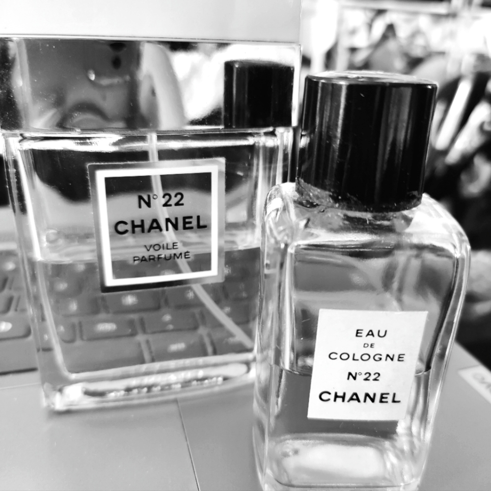 Meet your Posher, Rose